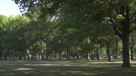 Carle Place