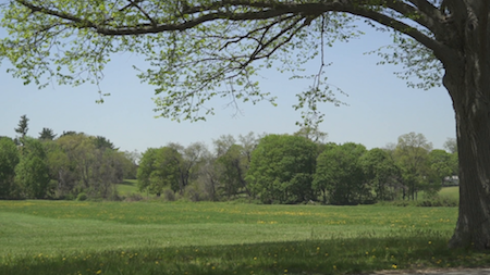 Old Westbury