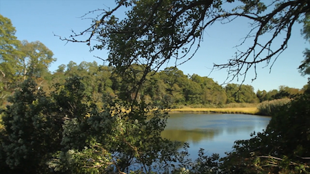 Shelter Island
